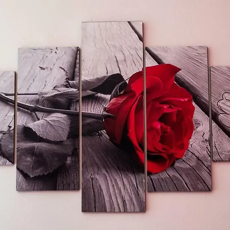 Apartment Downtown Bologna